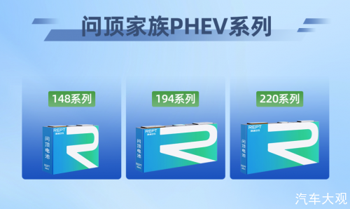 行业亏损成风，「新秀」瑞浦兰钧如何破局？