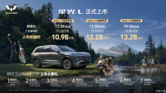 10万级唯一大六座SUV，星光L上市10.98万起
